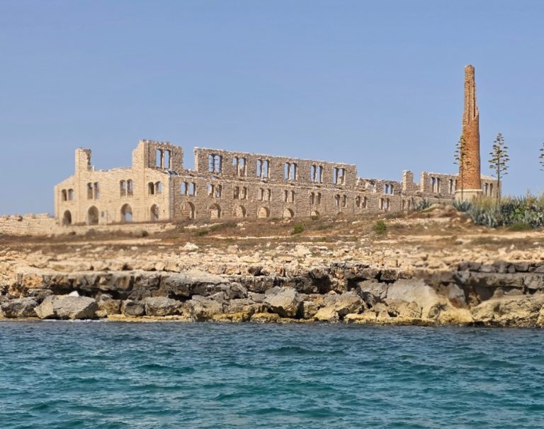 BETWEEN WILD NATURE AND INDUSTRIAL ARCHAEOLOGY